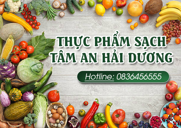 CÔNG TY TNHH THỰC PHẨM SẠCH TÂM AN HẢI DƯƠNG